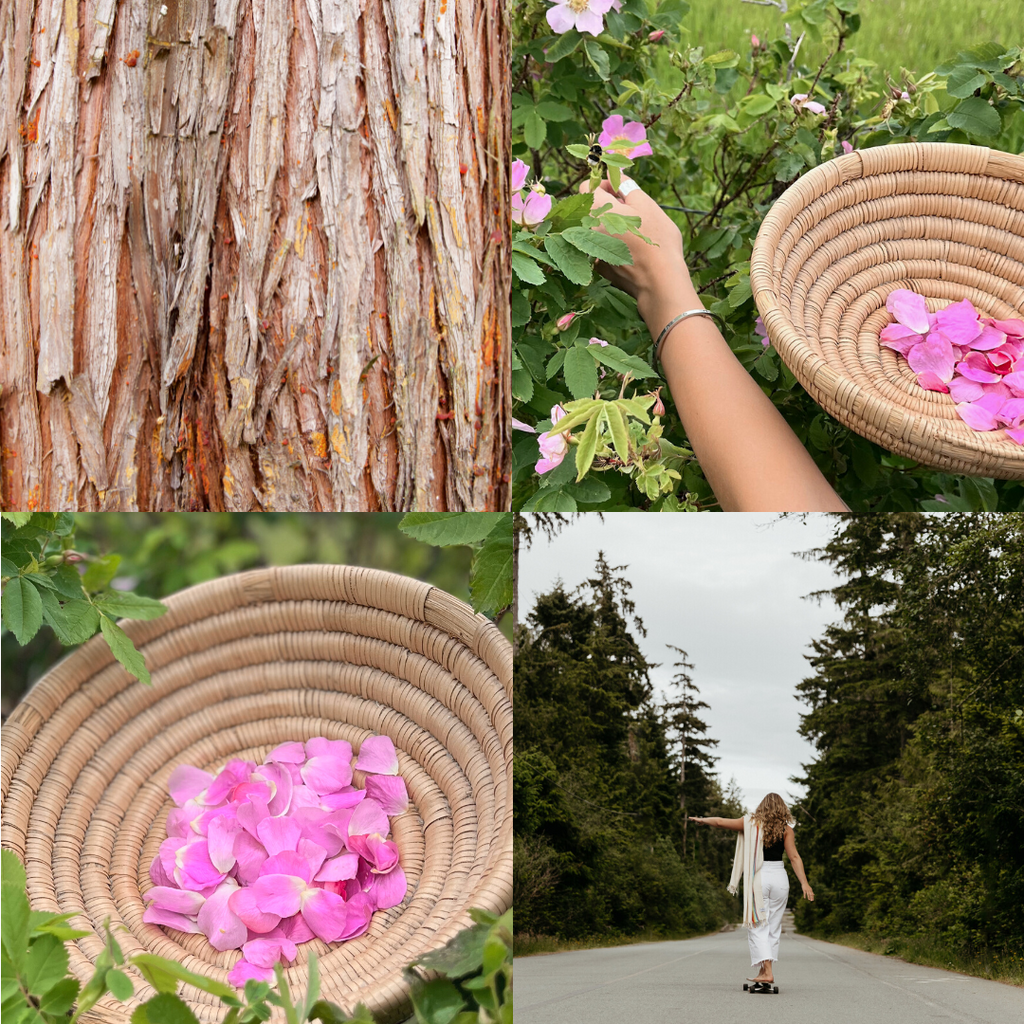 Cedar Rose Natural Perfume