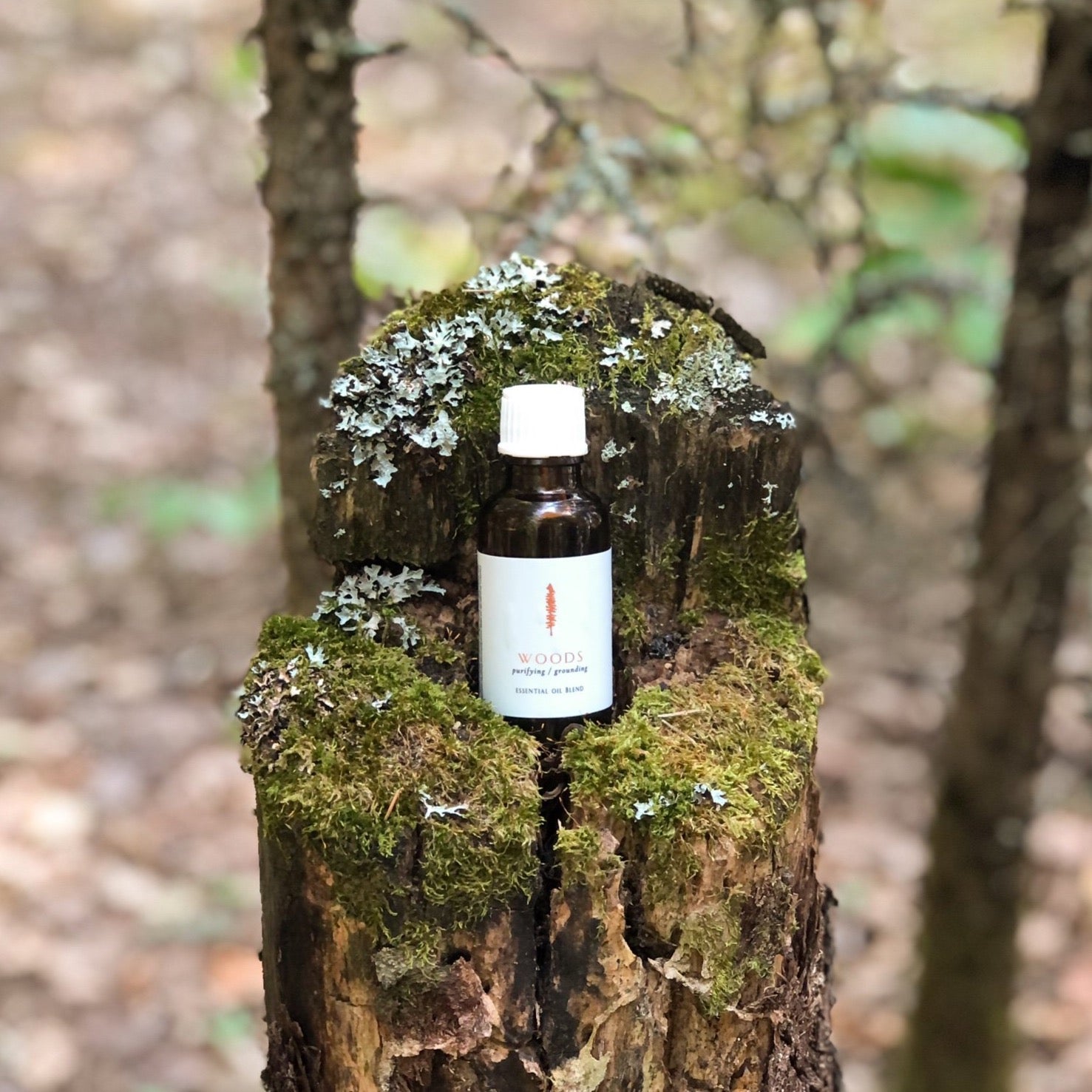 Essential Oil - Woods
