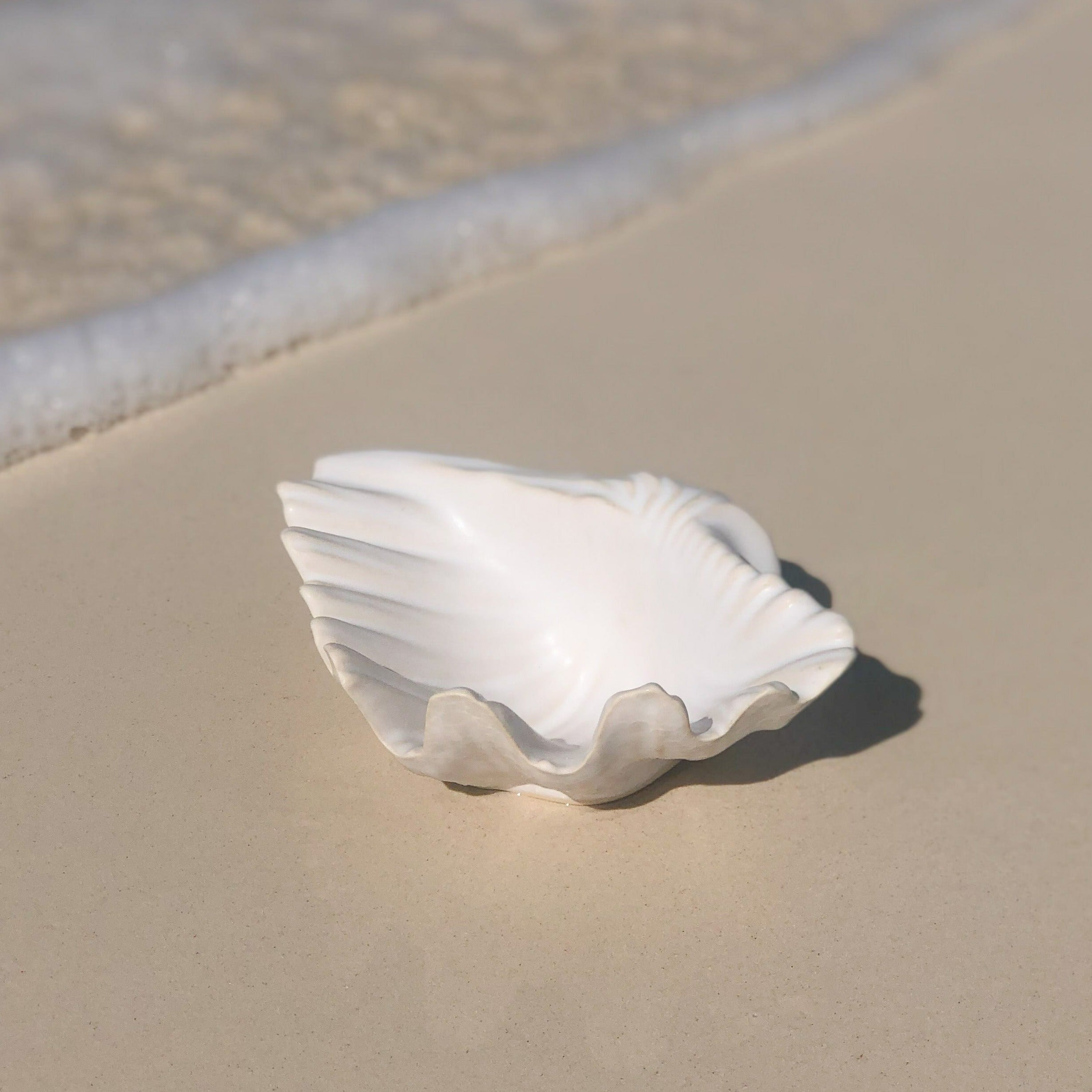 Seashell | Ceramic