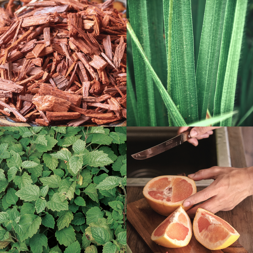 Patchouli Natural Perfume