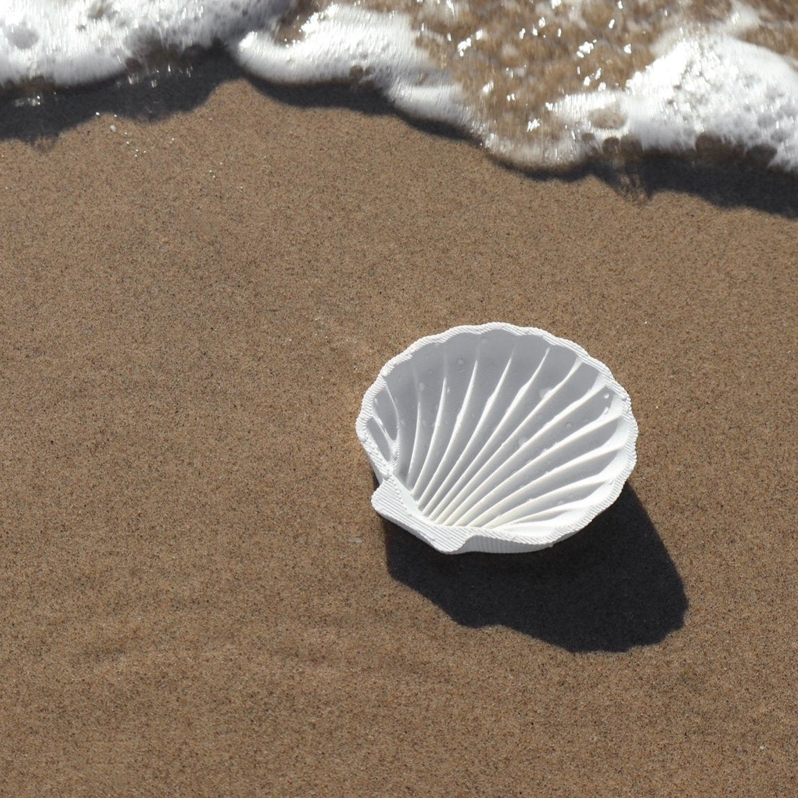 Shell Dish