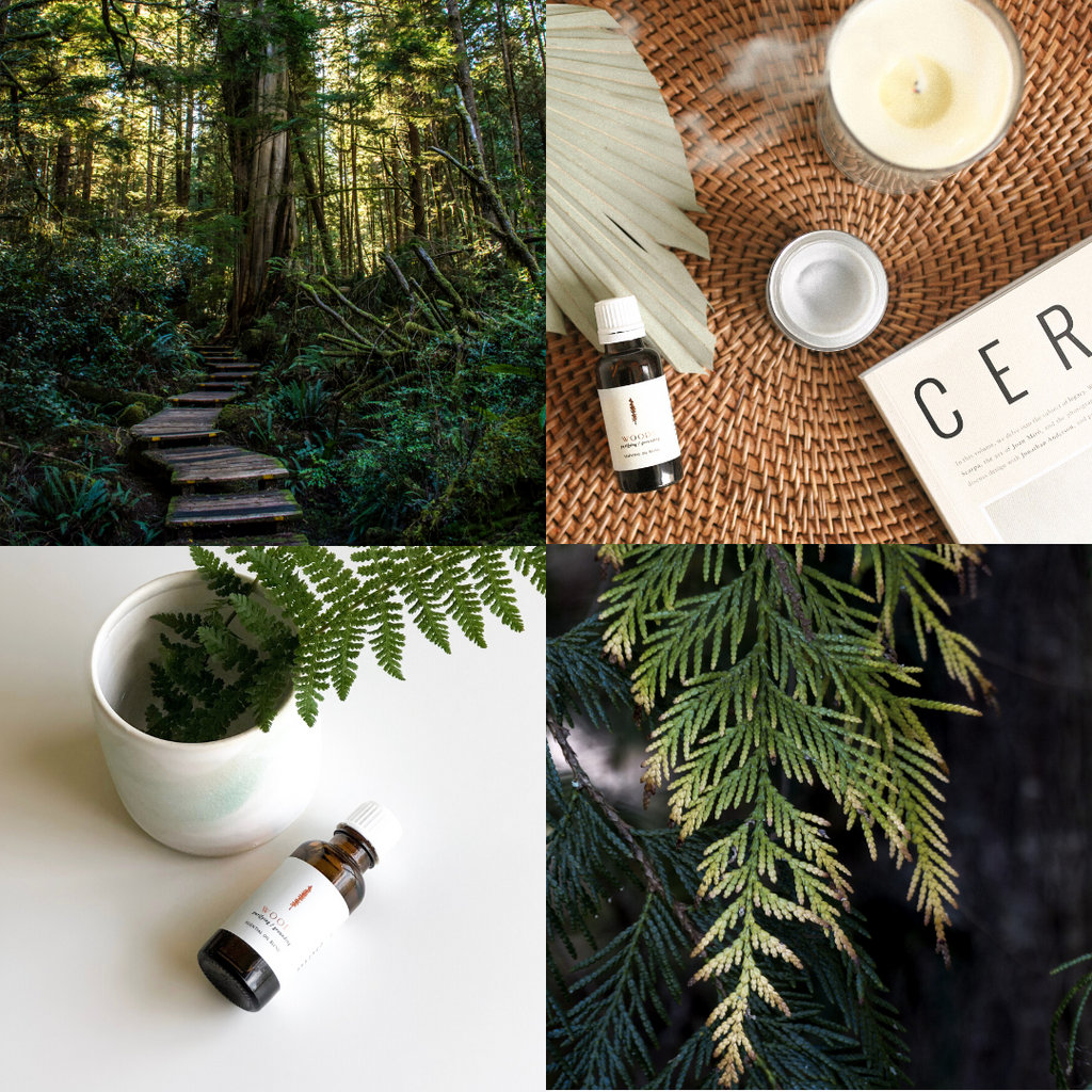 Essential Oil - Woods