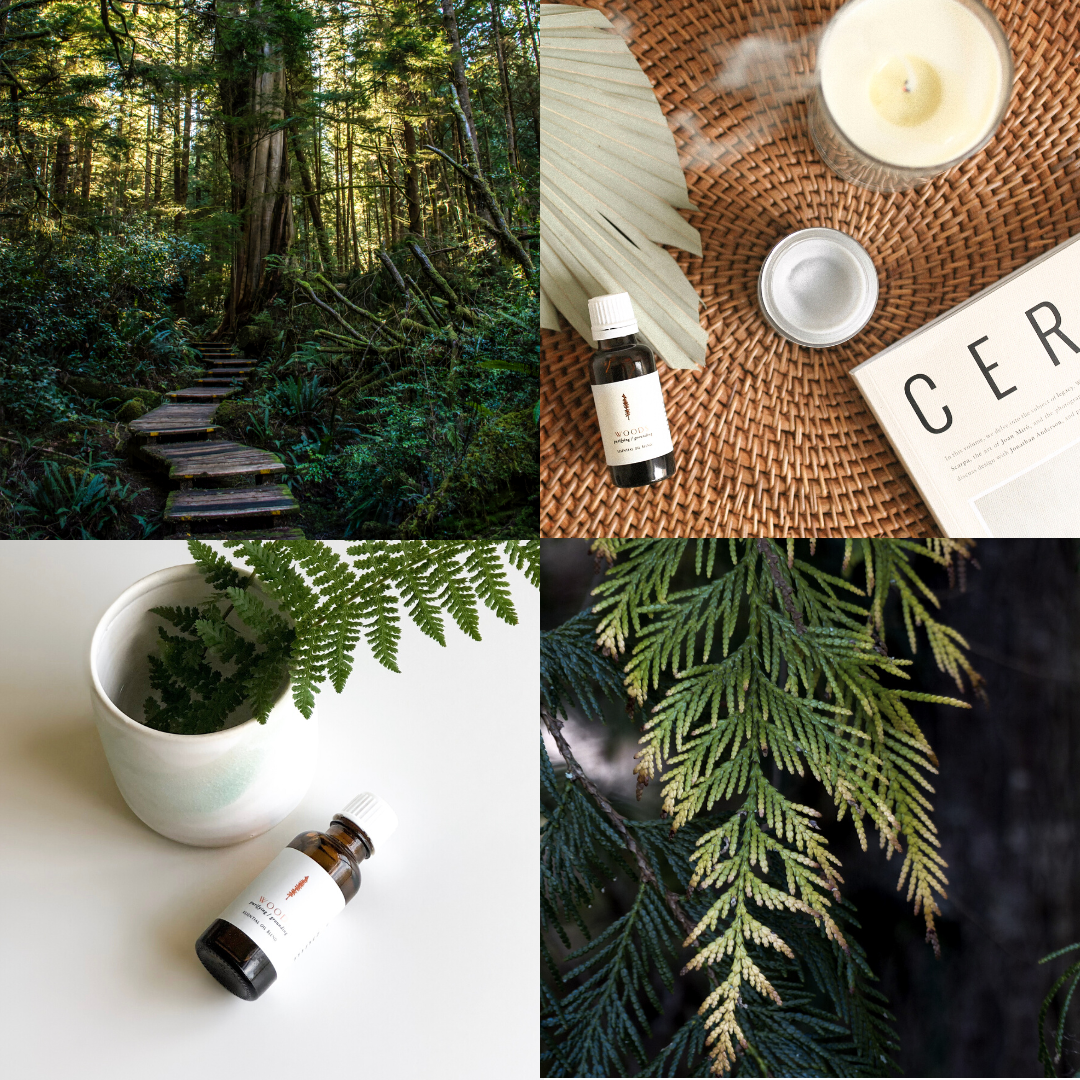 Essential Oil - Woods