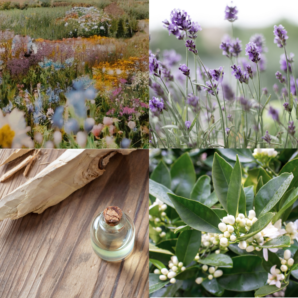 Tofino Candle - Hope