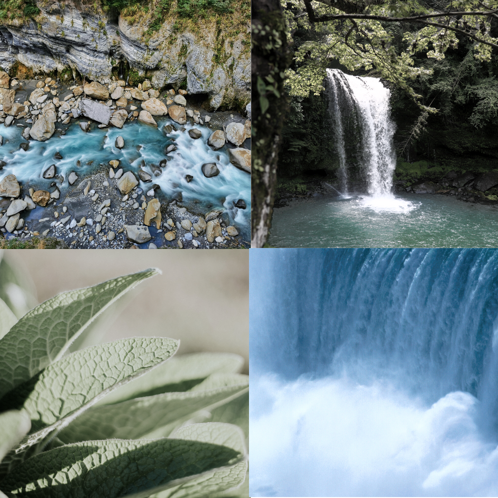 Essential Oil - Waters