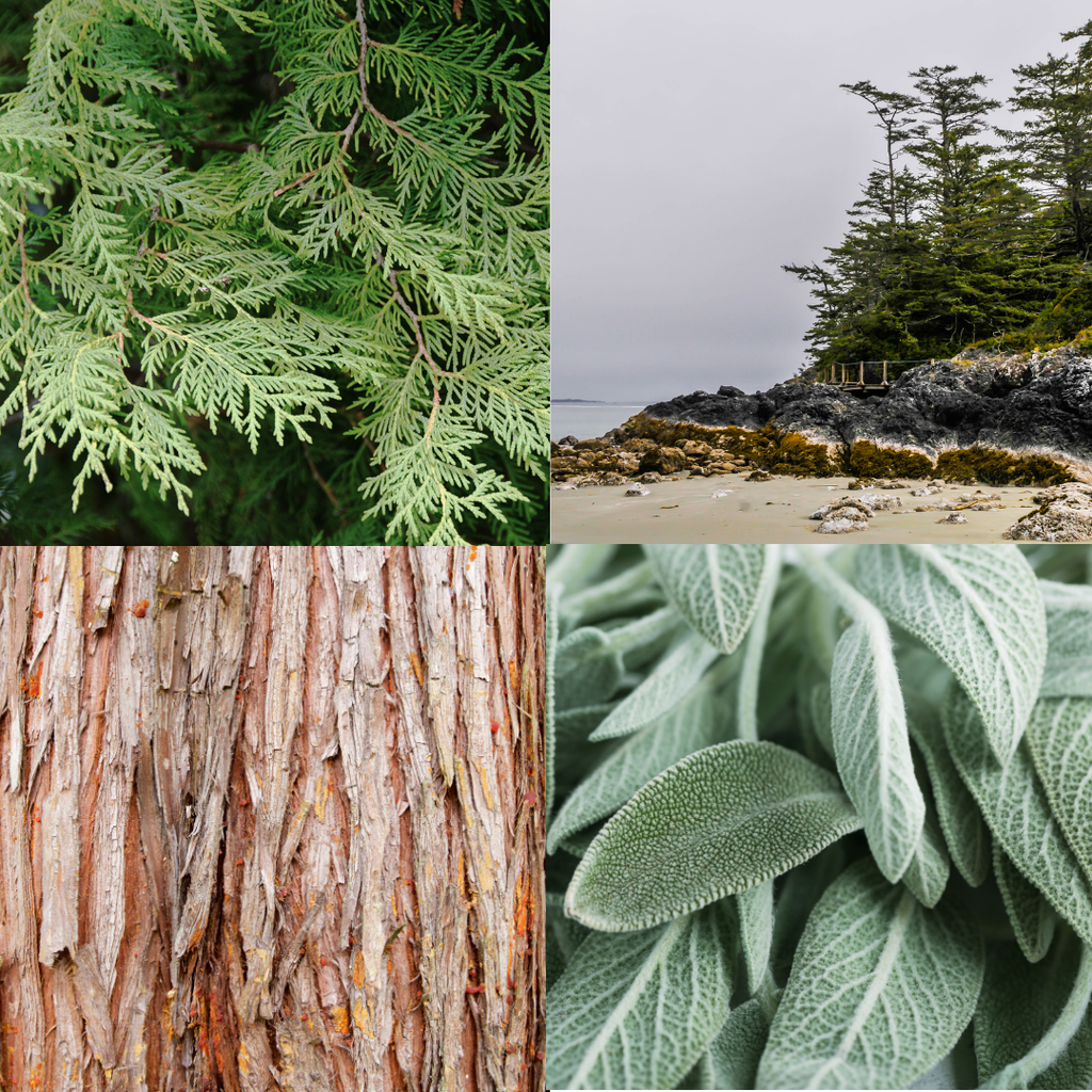 Tofino Candle - Woods