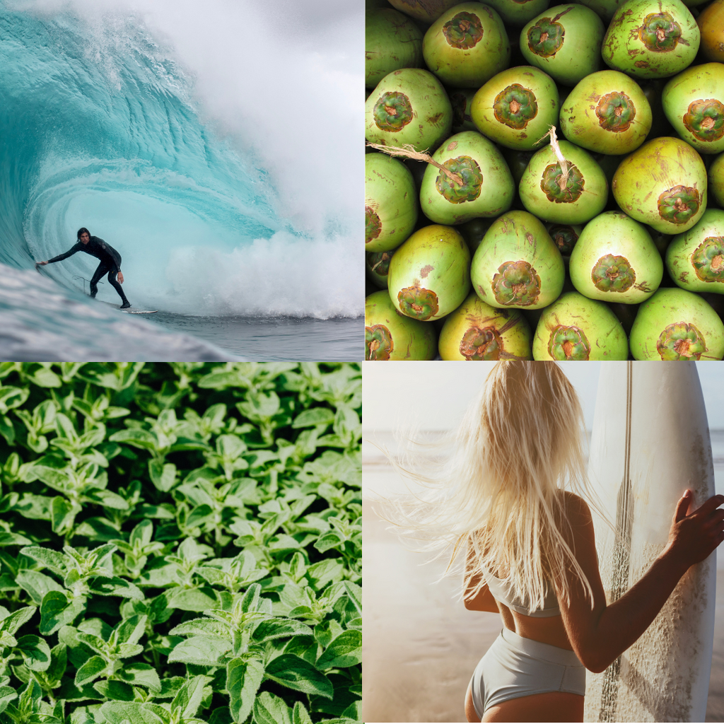 Surf - Tofino Candle