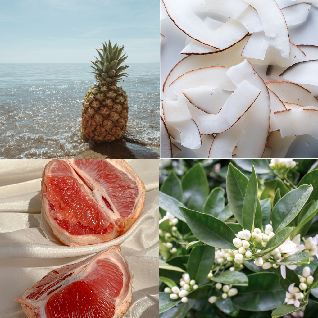 Beach - Tofino Candle