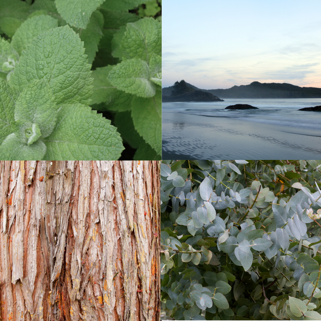 Tofino Candle -  Coast